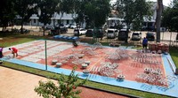 Kegiatan ini merupakan bentuk kepedulian Korps Marinir terhadap pelestarian terumbu karang. Ist/Dispen Kormar.