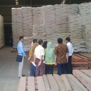 Bulog Akui Ada Ribuan Ton Beras di Gudangnya yang Mutunya Jelek