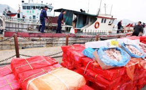 Pihak Berwajib Tiongkok Sita Daging Beku Selundupan Berumur 40 Tahun