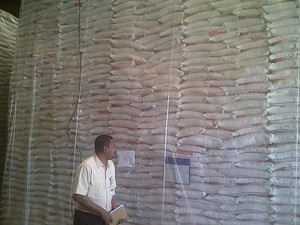 Bos Bulog Akan Musnahkan Beras di Gudang yang Mutunya Jelek