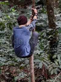 Hmm... Ngapain ya Ammar memanjat pohon?