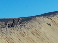 Cobalah menguji adrenalin Anda dengan meluncur di atas pasir dari ketinggian 50 meter. Dengan papan seluncur, siap-siap ngebut ke bawah! (Shafa/detikTravel)