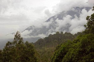 Wah! Ada Gunung Penghasil Batu Akik di Papua