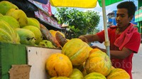     Pedagang buah berlomba-lomba menjual blewah dan timun suri di kawasan Pasar Sumur Batu, Jakarta Pusat, Jumat (26/6/2015). Pool/Suhar Bimar/detikFoto.