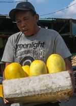Selain Kurma, Buah-buahan Ini Banyak Diminati Saat Puasa