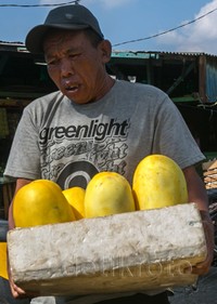     Pedagang timun suri menata dagangannya. Selama bulan Ramadan, timun suri juga diburu oleh warga sebagai menu buka puasa. Pool/Suhar Bimar/detikFoto.