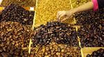 Ramadan, Penjualan Kurma Meningkat