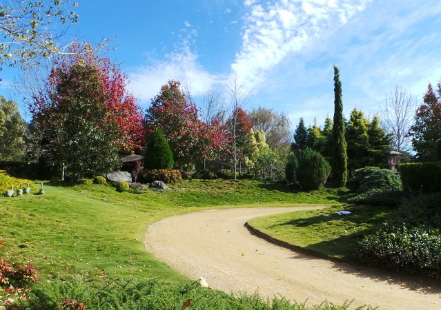 Begini Bentuk Botanical Garden Australia Saat Musim Dingin