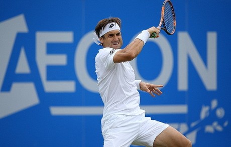 Cedera Siku, Ferrer Mundur dari Wimbledon