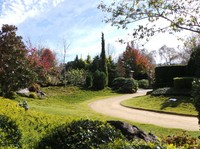 Hunter Valley Gardens adalah salah satu destinasi wajib kunjung saat liburan ke Hunter Valley, New South Wales. Meski sedang tak maksimal karena musim dingin, tapi taman ini tetap memancarkan kecantikannya (Shafa/detikTravel)