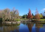 Di Musim Dingin, Taman Botani Australia Tetap Cantik