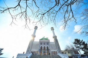 Siapa Sangka, Masjid di Korea Selatan Secantik Ini
