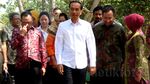 Jokowi Kunjungan Kerja ke Cilacap