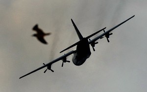 Ribuan Kicauan Menggema di Tengah Jatuhnya Hercules