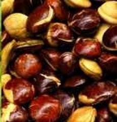 Selain Cabai dan Bawang, Harga Jengkol Pun Terjun Bebas