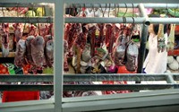 Harga Daging sapi di tingkat pedagang di Pasar Tradisonal Majestik, Jakarta, bertahan Rp120 ribu per kilogram (kg).