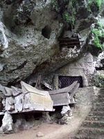 Menikmati Pesona Tana Toraja