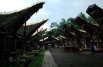 Menikmati Pesona Tana Toraja