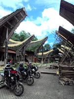 Menikmati Pesona Tana Toraja