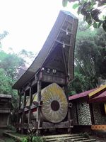 Menikmati Pesona Tana Toraja