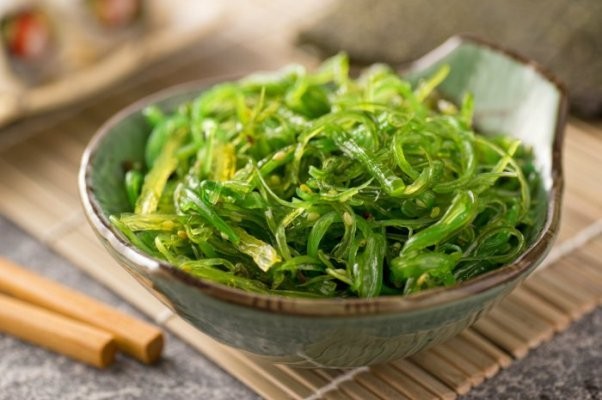 Konsumsilah Air Kelapa dan Yogurt Saat Berbuka dan Sahur Agar Tubuh Tetap Bugar (2)