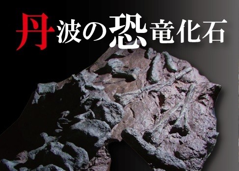Fosil Telur Dinosaurus Terkecil Ditemukan di Jepang