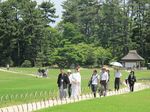 Taman Cantik Berusia 300 Tahun di Jepang
