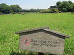 Taman Cantik Berusia 300 Tahun di Jepang