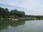 Taman Cantik Berusia 300 Tahun di Jepang