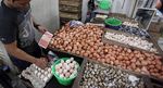 Jelang Lebaran Harga Telur Ayam Naik Turun