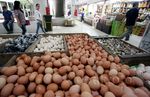 Jelang Lebaran Harga Telur Ayam Naik Turun