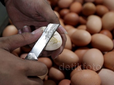 Jelang Lebaran Harga Telur Ayam Naik Turun