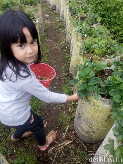 Daffa Almaira Putri