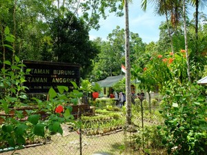 Taman di Biak Punya Koleksi Anggrek & Burung Endemik Papua