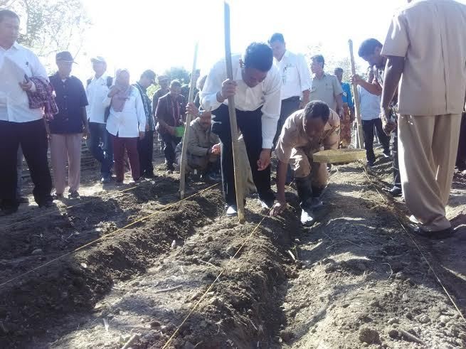 Gara-gara Kekeringan, 25.000 Hektar Sawah Bisa Gagal Panen