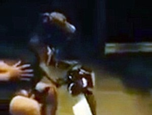 Ajari Anjingnya Naik Motor Bebek Keliling Kota, Pemuda Ini Didenda Rp 4 Juta