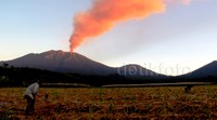 Kepulan asap kelabu yang berasal dari kaldera Gunung Raung membumbung tinggi sekitar 400 meter kearah tenggara. Putri Akmal/detikFoto.
