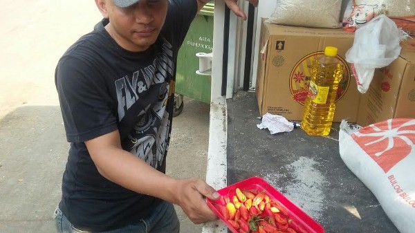 Bulog Jual Cabai Rawit Busuk dan Kering di OP