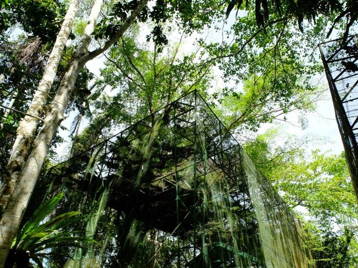 Anggrek & Burung Endemik Papua Ada di Taman Ini - Foto 5