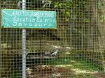 Anggrek & Burung Endemik Papua Ada di Taman Ini