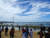 Festival Munara Wampasi digelar di Pulau Biak pada 1-4 Juli 2015 lalu. Acara utama dalam festival tersebut adalah menangkap ikan di pesisir pantai menggunakan tombak (Sastri/detikTravel)