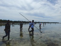 Acara utama dalam festival ini adalah acara menangkap ikan saat air surut, tepatnya di pesisir pantai (Sastri/detikTravel)