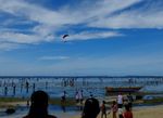Serunya Festival Tangkap Ikan di Pesisir Pantai Biak