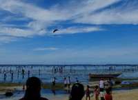 Sejak pagi, warga berbondong-bondong menyambangi Pantai Mnurwar di Biak Timur sambil membawa tongkat bambu sepanjang 1,5 meter (Sastri/detikTravel)