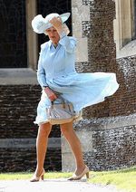 Ups! Dress Camilla Tertiup Angin