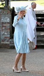 Ups! Dress Camilla Tertiup Angin