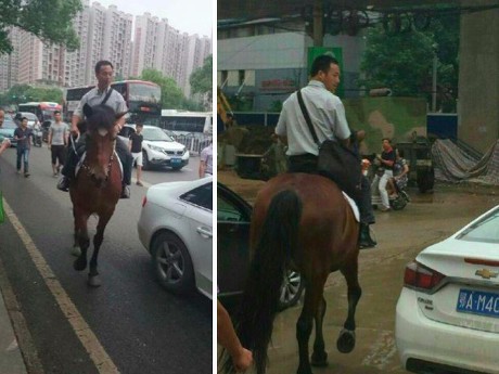 Bosan Macet, Pria Ini Saban Hari Naik Kuda ke Tempat Kerja
