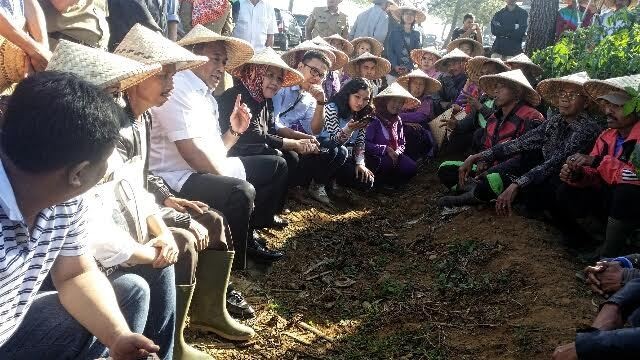 Blusukan ke Kebun Cabai, Gobel Kaget Preman Kendalikan Harga di Pasar