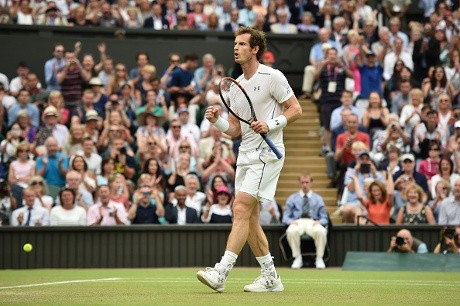Murray Lolos ke Empat Besar untuk Hadapi Federer