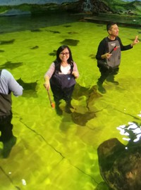 Ada beberapa kolam yang bisa dimasuki pengunjung. Bisa untuk memberi makan, bisa juga untuk lebih dekat dengan hewan-hewan ini. Yang pasti, boleh bawa kamera asal tidak mengganggu para hewan ini (Shafa/detikTravel)